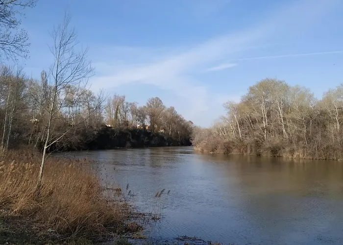 Vega-aranda 아파트